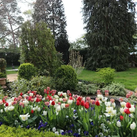 Weinlaube 3* Coblence