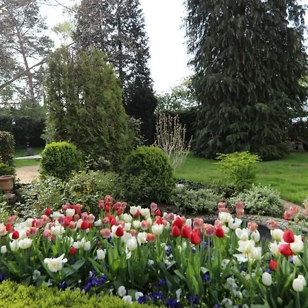 Weinlaube 3*